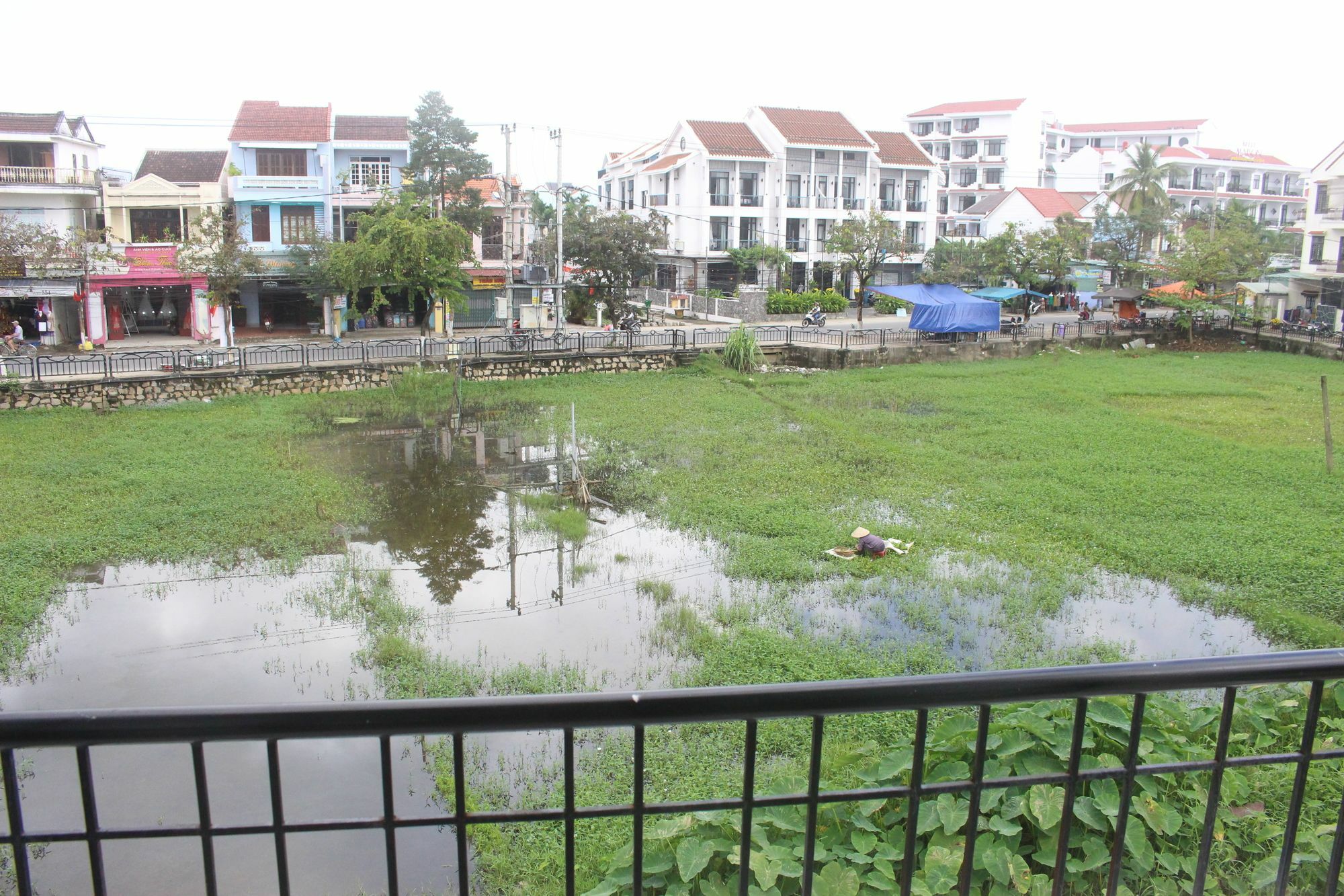 Hoi An Green View Homestay & Villa Exterior foto
